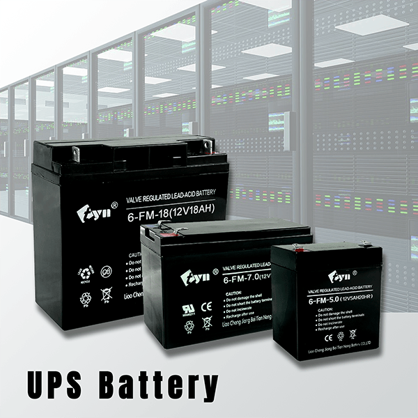 UPS Battery